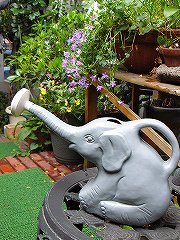 ����ե���ȡ����ץ�󥯥顼�ʤ�������Τ��礦���ˡ㥰�졼/�ԥ󥯡䡡�ʥ�˥塼����С�������