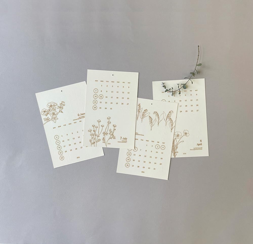 �ץ��ڥ饹������HUTTE PAPER WORKS 2024 �ܥ��˥��륬���ǥ󡡥쥿���ץ쥹��������