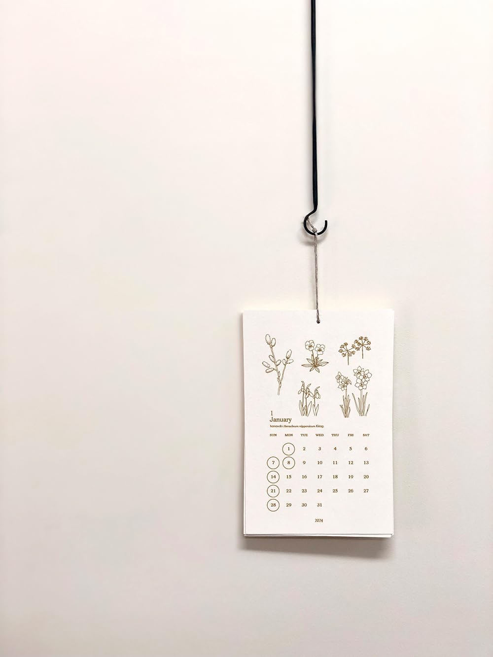 �ץ��ڥ饹������HUTTE PAPER WORKS 2024 �ܥ��˥��륬���ǥ󡡥쥿���ץ쥹��������