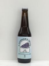 ��ADIRONDACK 2024/����ɥӡ����