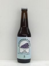 ��BAILEY-A 2023/����ɥӡ����