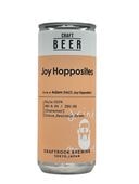 ��Joy Hopposites/CraftRock��