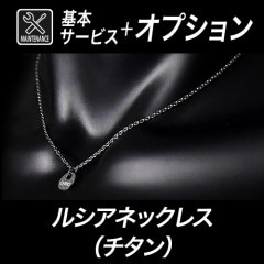 �������륷���ͥå��쥹 �����󡡴��ܥ��ƥʥ󥹡ܥ��ץ����