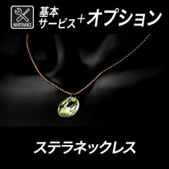 ���������ƥ�ͥå��쥹�����ܥ��ƥʥ󥹡ܥ��ץ����