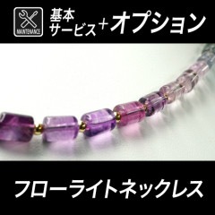 �������ե����饤�ȥͥå��쥹�����ܥ��ƥʥ󥹡ܥ��ץ����