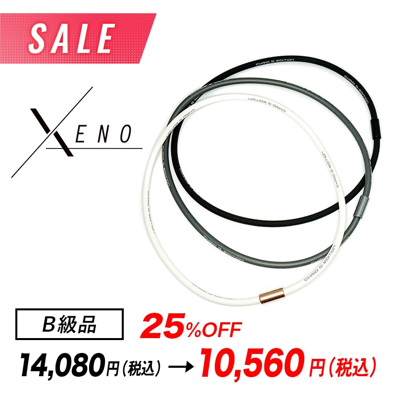 SALEG-ǥ  ͥå쥹Bʡ