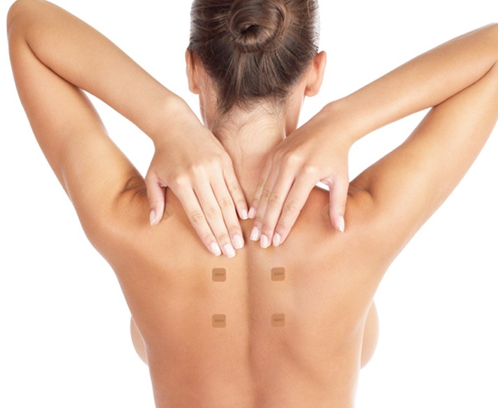 2026HappyBag ���ƥ���������å�