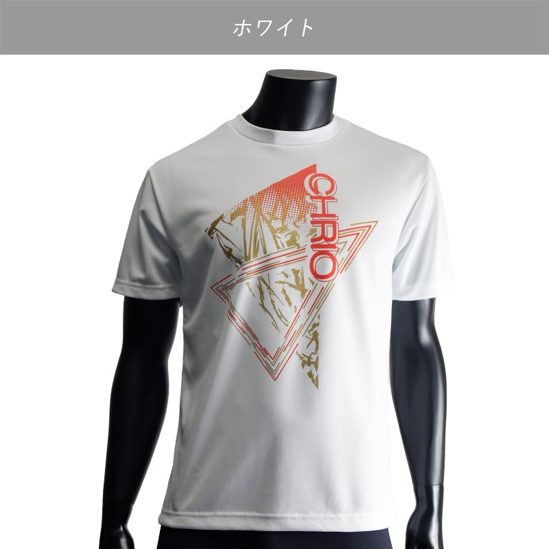 ��3/26ȯ��ۥȥ졼�˥�T����� SST-Ip