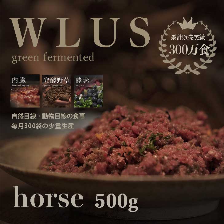 WLUS ホース 500g 