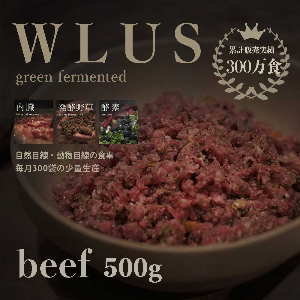 WLUS ビーフ 500g