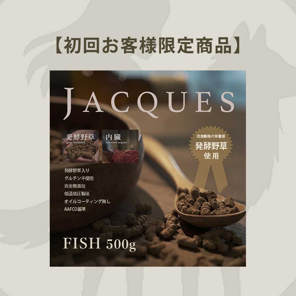 【お試しジャック】フィッシュ500g　 