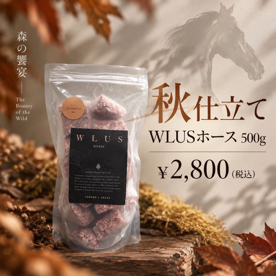秋仕立て WLUS ホース