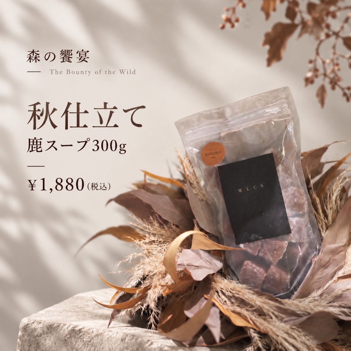 秋仕立て 鹿スープ