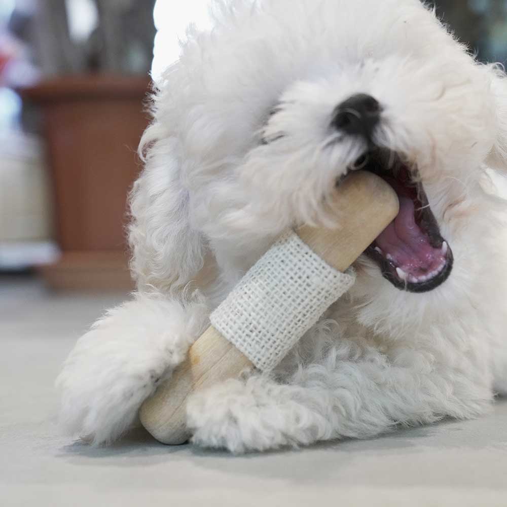 ニームボーン SSサイズ W11×D1.5 ※在庫限りで終売