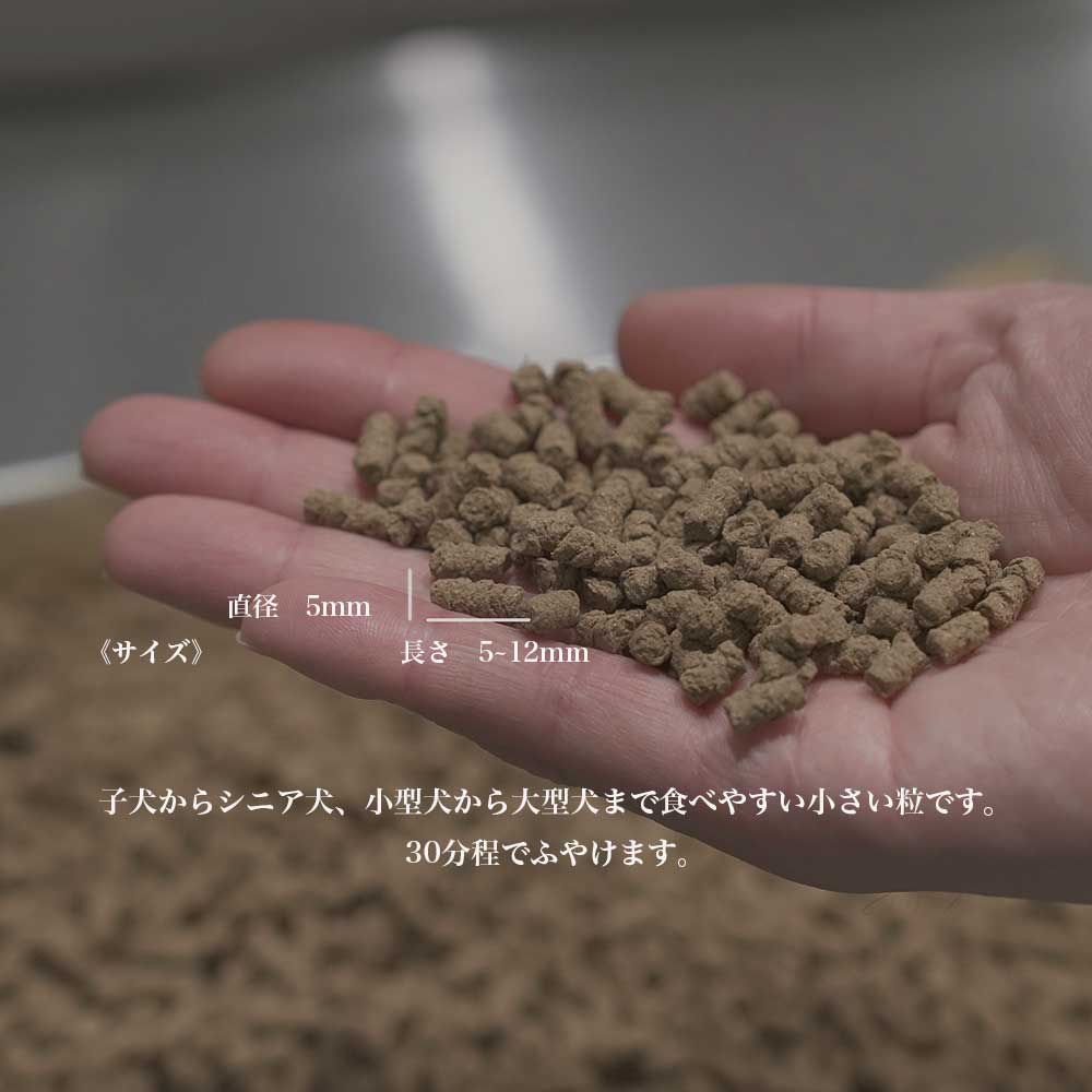 JACQUES ポーク 500g　