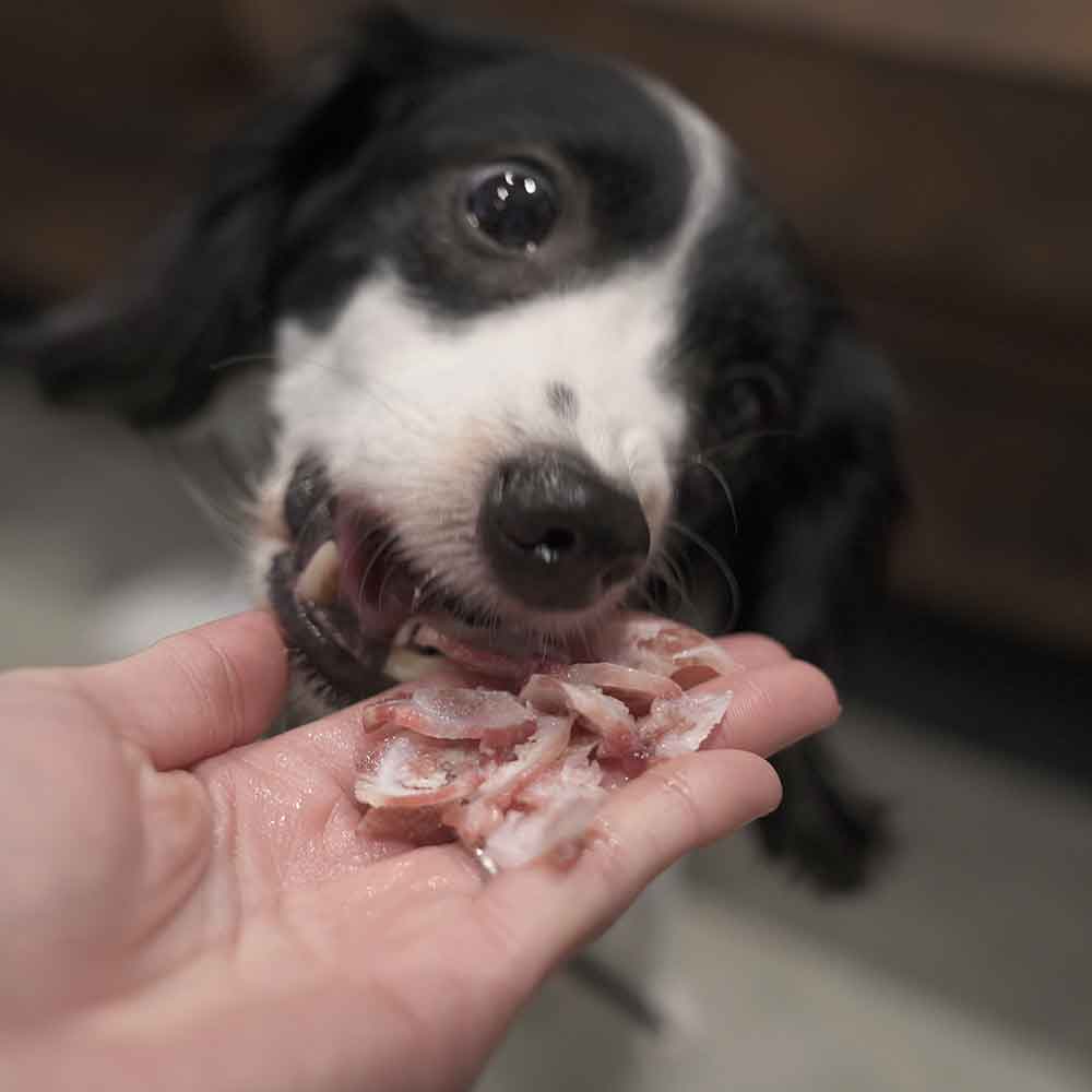 Horse bone スライス 80g