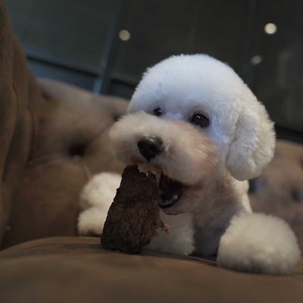 鯨ジャーキー 40g