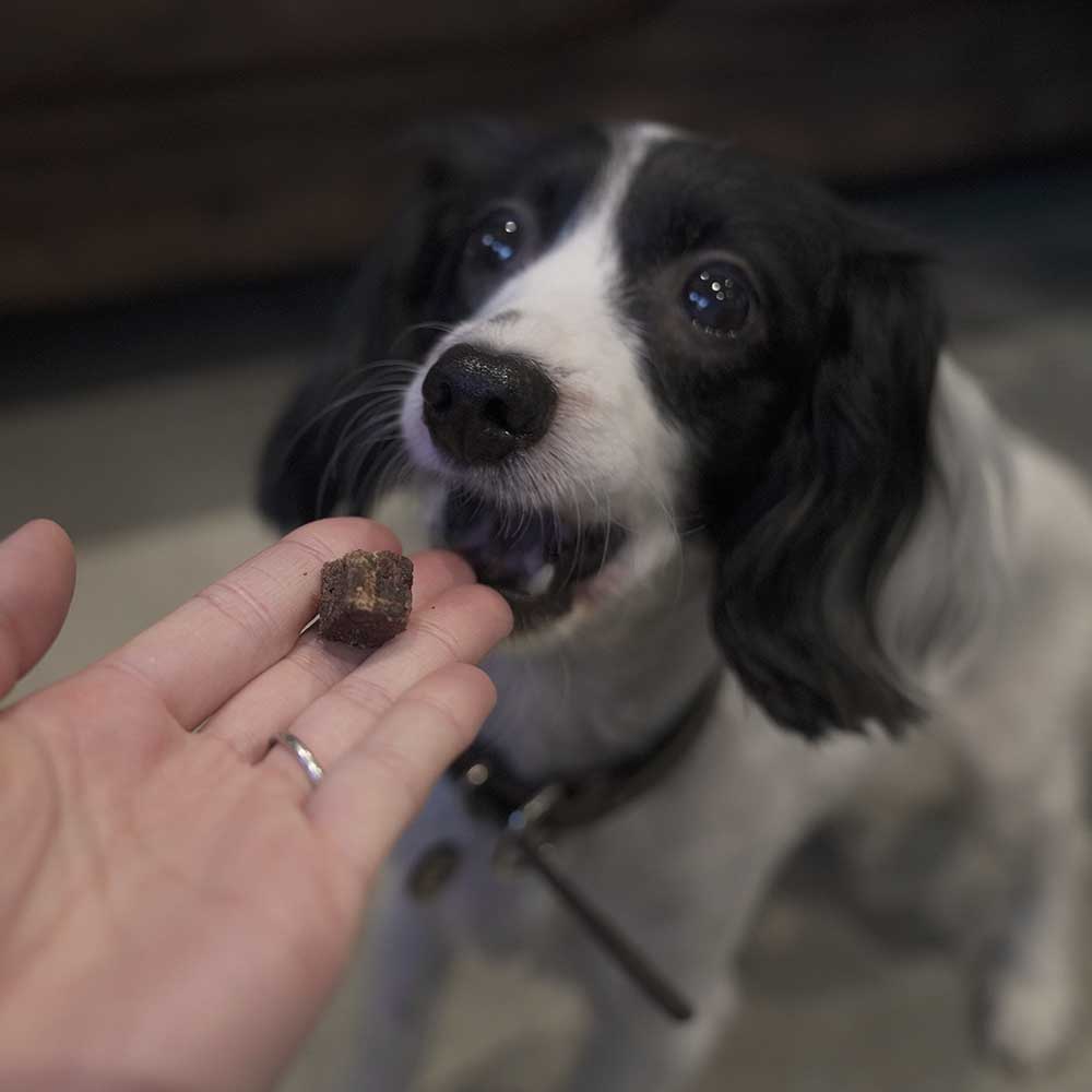 馬肉キューブ　30g