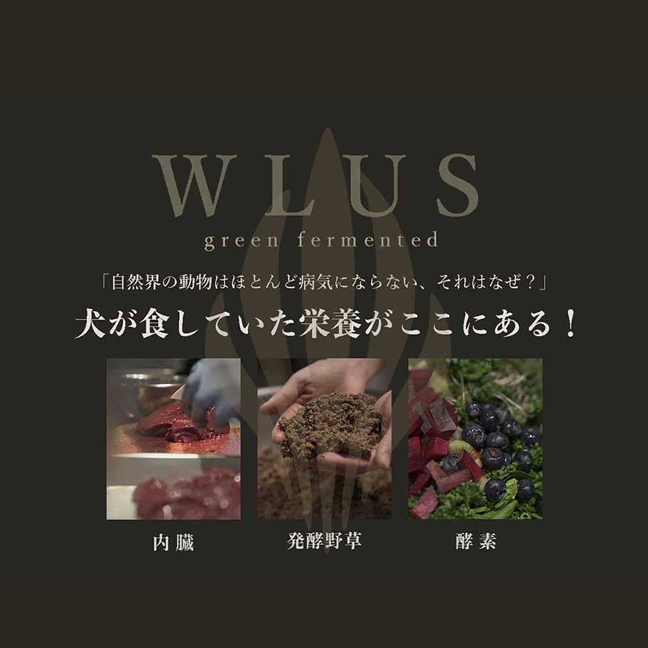 【お試しウルス】チキン500g