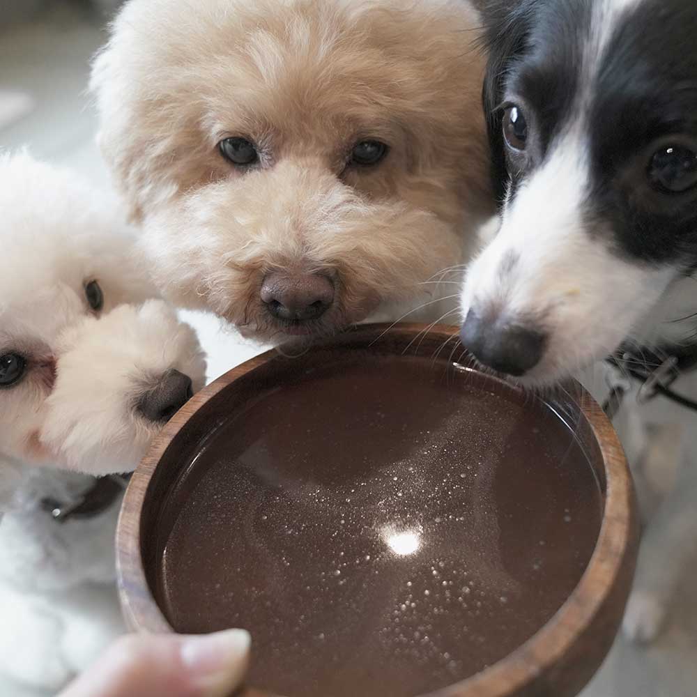 bone broth soup ボア