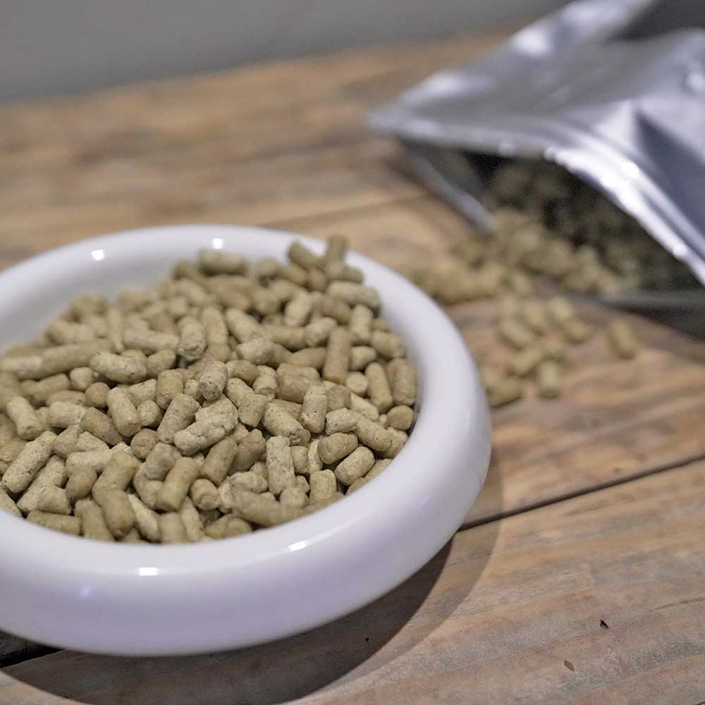 CHROME L SHAKE dry food 鮭 1kg