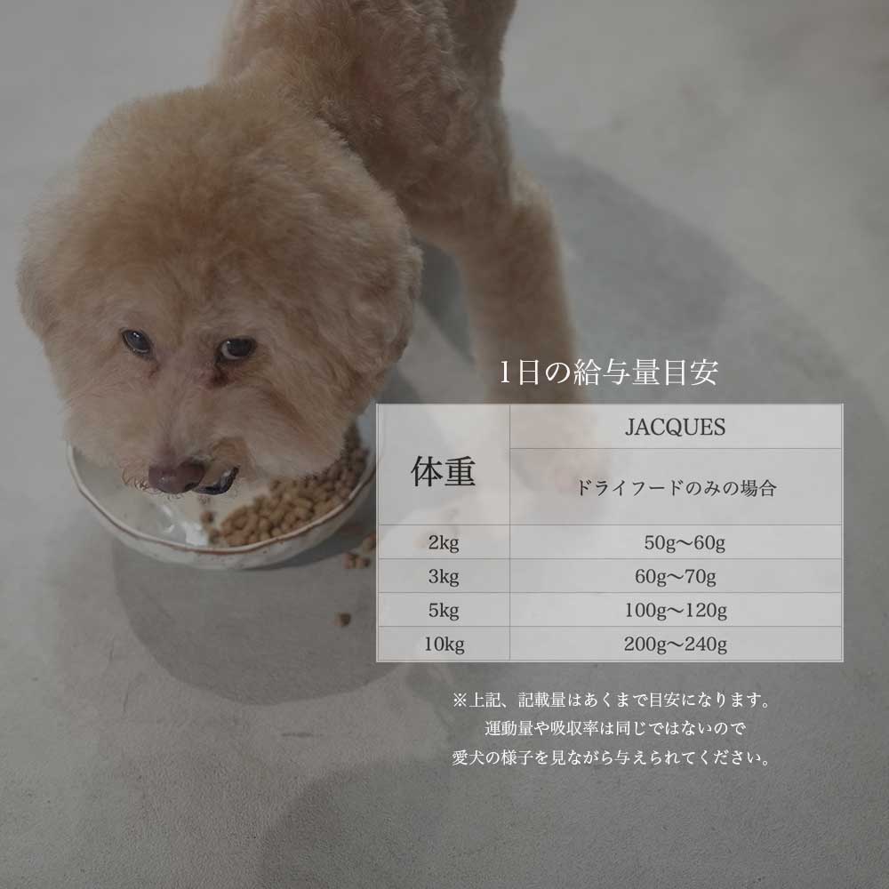 JACQUES フィッシュ 500g