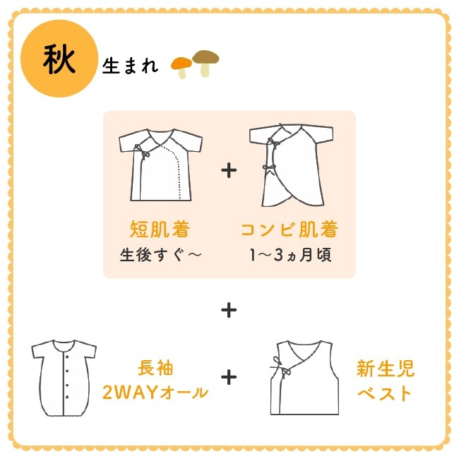 ٥ӡ ֤  ٥ӡ ȩ  λ ˤλ  ܡ  ɥå ̵   50cm 60cm ûȩ