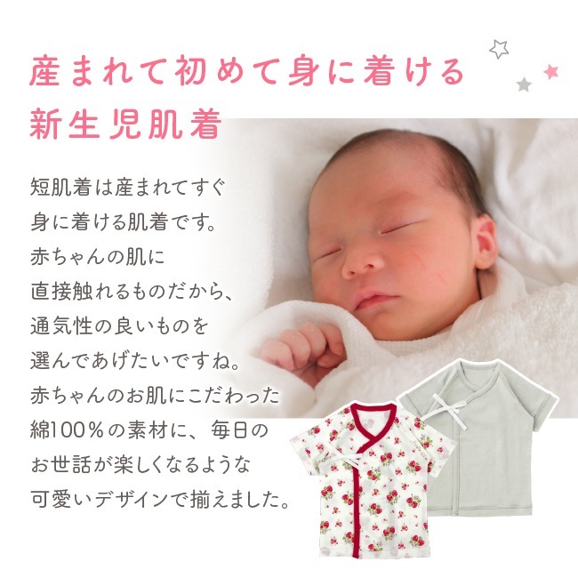 ٥ӡ ֤  ٥ӡ ȩ  λ ˤλ  ܡ  ɥå ̵   50cm 60cm ûȩ