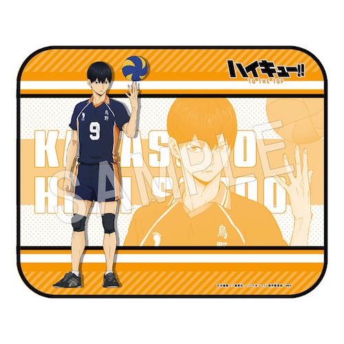 �ϥ����塼!! �֥�󥱥å� �ƻ���ͺ