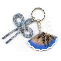 󼡼۵Ǥο θŻ ꤤӥۥ ʿǷ