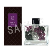 �֥�å������� -Theater Starless- �ϡ��Хꥦ�ॢ���ޥǥ��ե塼���� team C (���ꥨ�󥿥�ι��)