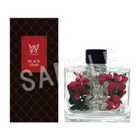 �֥�å������� -Theater Starless- �ϡ��Хꥦ�ॢ���ޥǥ��ե塼���� team W (�������ι��)