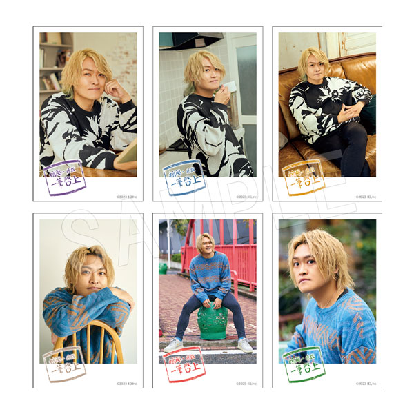 ��ͽ�������δ��Ρذ�ɮ����٥ȥ졼�ǥ��󥰥��󥹥���ȥե�����������(pcs)