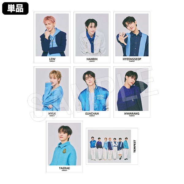 予約】TEMPEST ポラショットコレクション(pcs) | た行,TEMPEST
