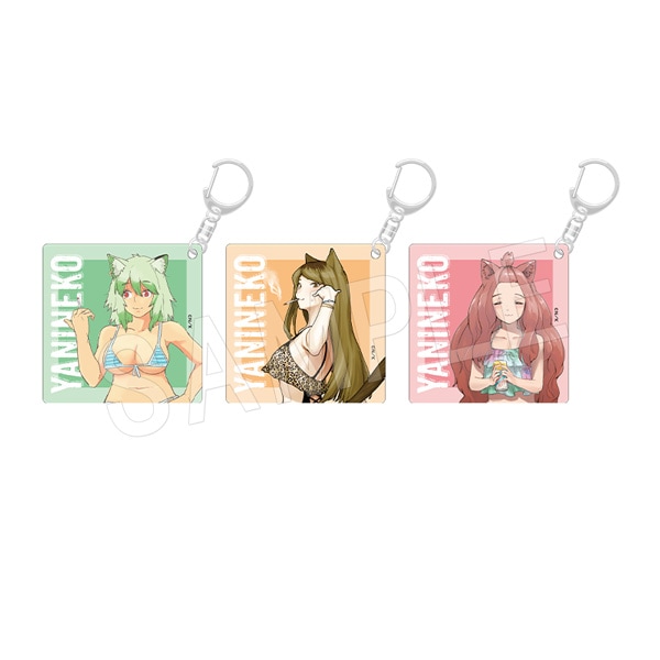 ڰͽۥˤͤ 륭ۥå ϥͤver.