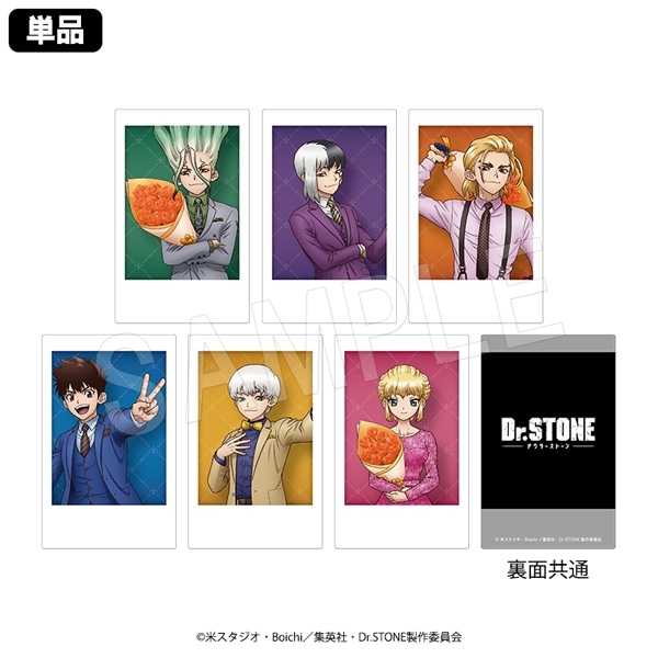 ͽDr.STONE ݥ饷åȥ쥯 顼ver.(pcs)