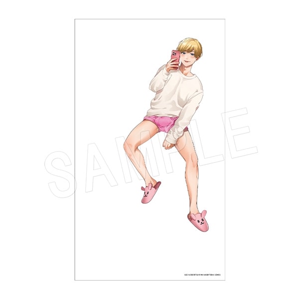 ڰͽۥӥå  ΢˻ҡver.  