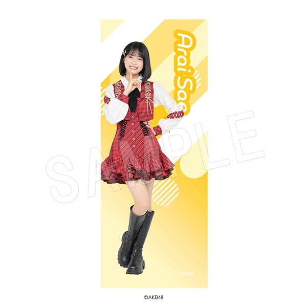 AKB48 in TOKYO DOME／マフラータオル （AKB48 61st Single