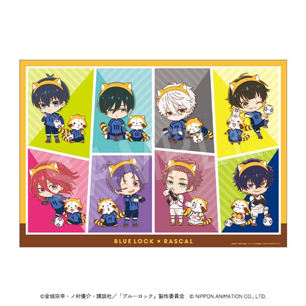 12月発送】ブルーロック×ラスカル タオルブランケット | は行,ブルー