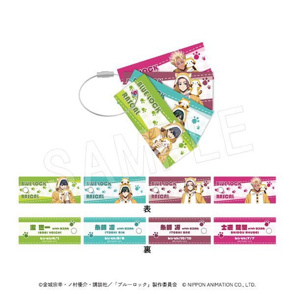 12ȯۥ֥롼åߥ饹 ñ쥫ɥۥ TypeA