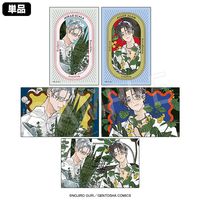 1ȯ۶䤵᤯ҤߤĤ ȥ졼ǥ󥰥饹ȥ garden ver.(pcs)AGF2025