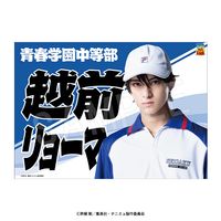 ��6��ȯ���ۥߥ塼������إƥ˥��β����͡�4th�������� ������� �ĳ�(��������)vsɹ�� ����� ������硼�ޡ�GiGO��