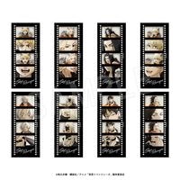 ��6��ȯ���������٥󥸥㡼�� �ե���������ꥢ�����ɥ��å� Autumn Night ver.��AJ2026��