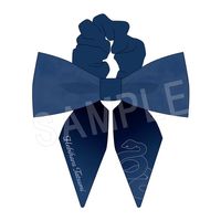 ��10��ȯ���ۥץ륬�ȥꥦ����� ��ܥ󥷥奷��  �ظ�ä̦�ڥץ�ǥ����ե�2026��