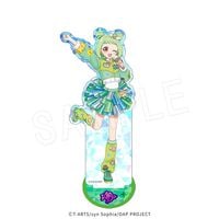 ��1��ȯ���ۤ��ͤ��������ץ� �ۥ��������ե����奢������� ����