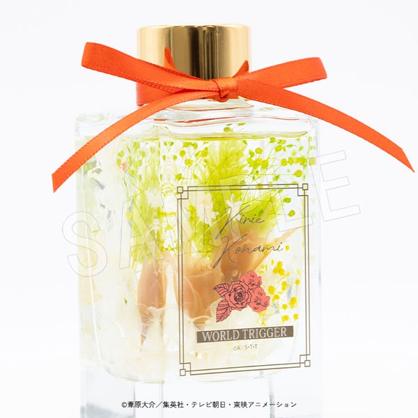 ڰͽۥɥȥꥬ ϡХꥦǥե塼  ͳ