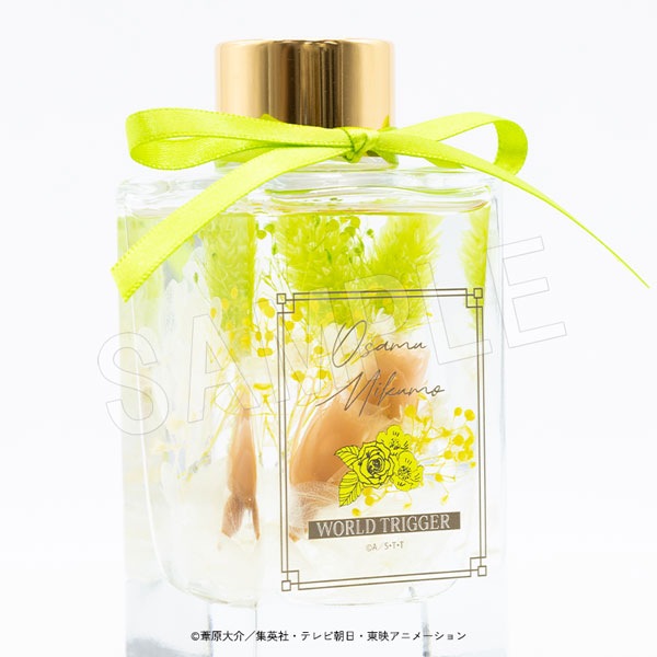 ڰͽۥɥȥꥬ ϡХꥦǥե塼  