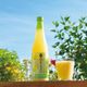 【2025夏ギフト特価】青切りシークヮーサー黒あまざけ720ml