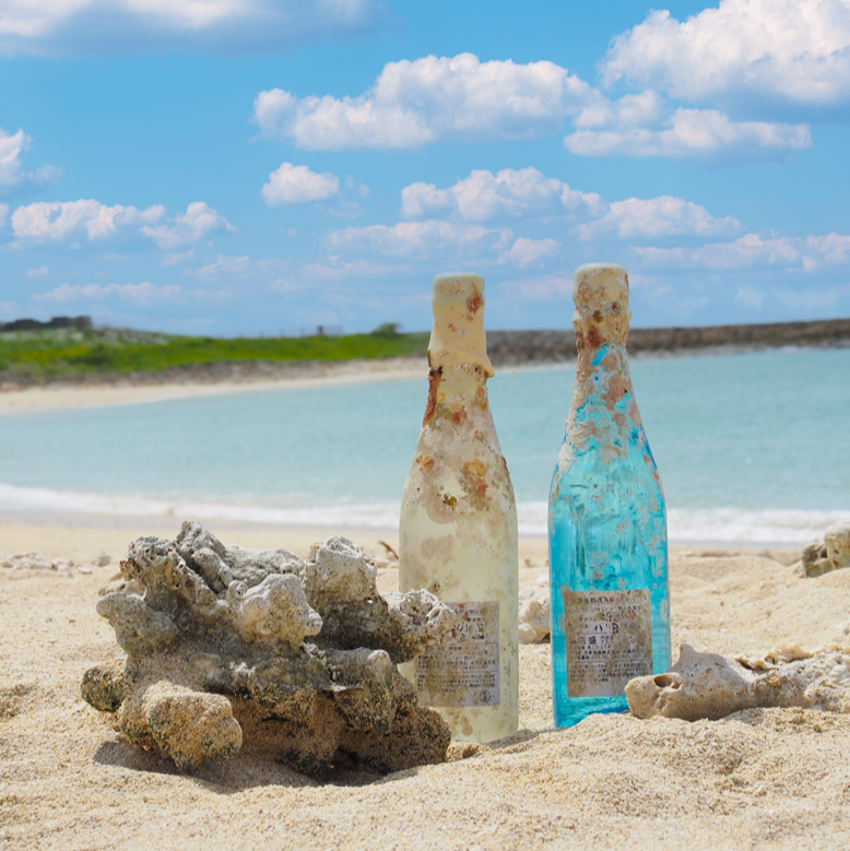 1_000000000685.png?1764248514