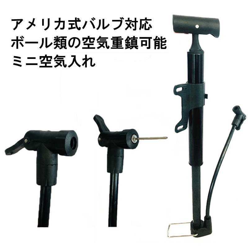 LECHI  ߥ˥եݥ ѥݥ ꥫ Ƽ | ž ܡ б